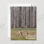 Amaging Australiaはがき ポストカード (正面/裏面)