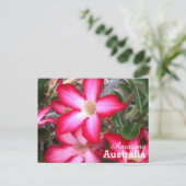 Amaging Australiaはがき ポストカード (スタンド正面)
