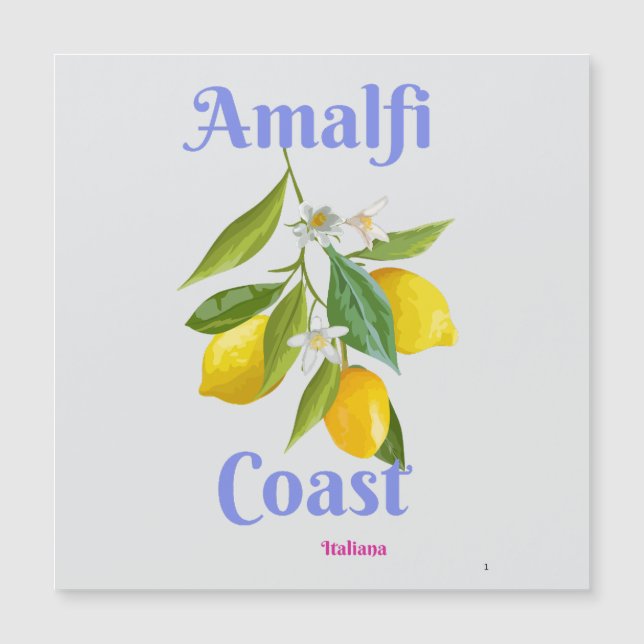 Amalfi coast (正面)