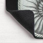 Amaltheusのアンモナイトの美しい鉛筆のスケッチ マウスパッド (コーナー)