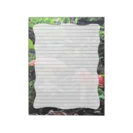 Amanita Muscariaキノコ – 11" x 8.5"メモ帳 ノートパッド