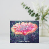 Amanita Muscaria ポストカード (スタンド正面)