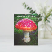 AMANITA MUSCARIA ポストカード (スタンド正面)
