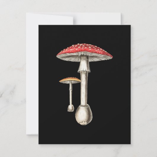 Amanita Muscaria Mushroom Botanical Nature Fungi (正面)