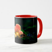 Amanita Tasse – Amanita Online Congress マグカップ (正面右)