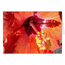 Amarriis Greeting Card