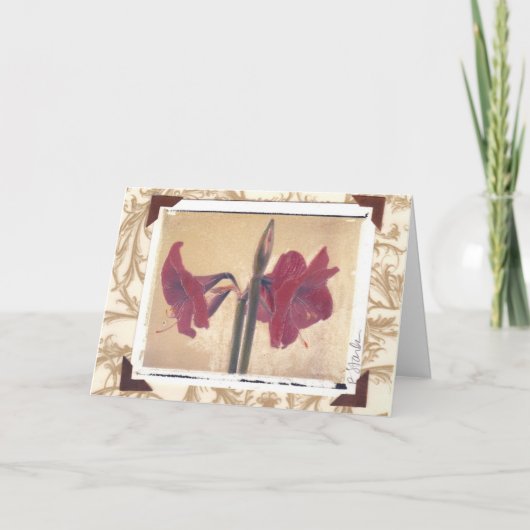 amaryllis_2 シーズンカード (正面)