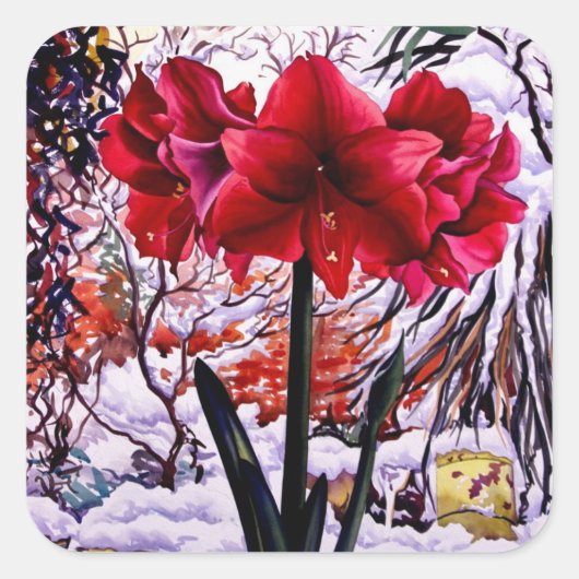 Amaryllis by Snow Window スクエアシール (正面)