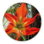 Amaryllis Closeup Ceramic Pull セラミックノブ (正面)