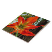 Amaryllis Closeup Ceramic Tile タイル (側面)