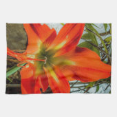 Amaryllis Closeup Kitchen Towels キッチンタオル (横)