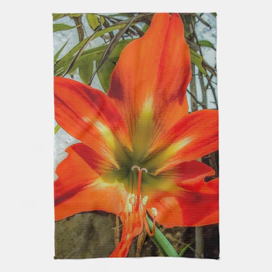 Amaryllis Closeup Kitchen Towels キッチンタオル (縦)