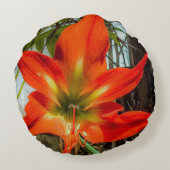 Amaryllis Closeup Round Pillow  ラウンドクッション (裏面)