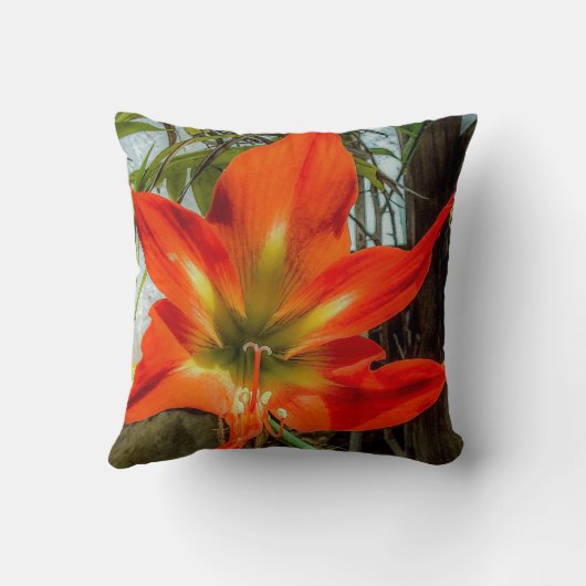 Amaryllis Closeup Throw Pillow クッション (裏面)