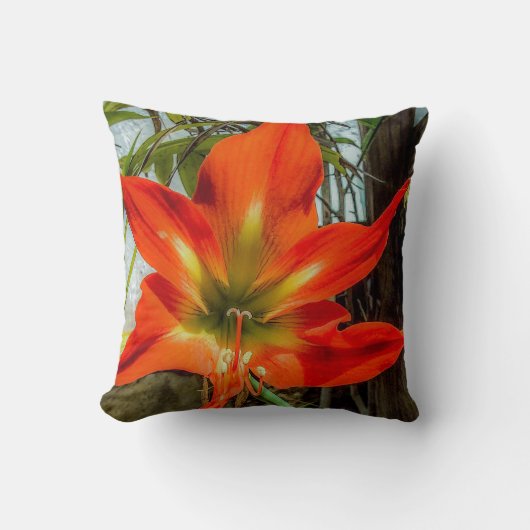Amaryllis Closeup Throw Pillow クッション (正面)