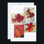 Amaryllis Collageグリーティングカード<br><div class="desc">PRlimagesはレイチェル・ローリーの絵画の部門である。</div>