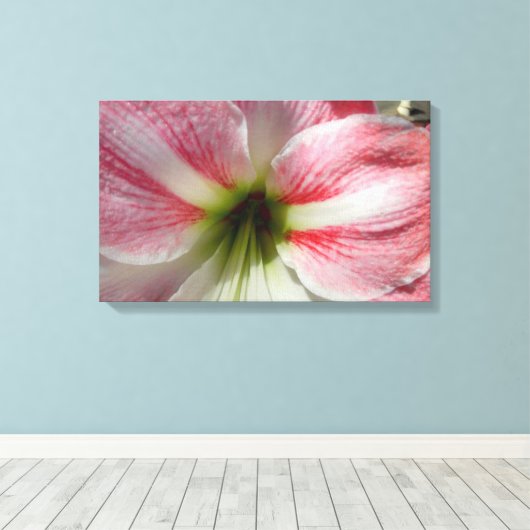 Amaryllis Stretted Canvas Print キャンバスプリント (インサイチュ (ウッドフロア))