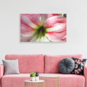 Amaryllis Stretted Canvas Print キャンバスプリント (インサイチュ (リビング))
