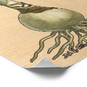 Amaryllis Tulip Botanical Garden Flower ポスター (角)