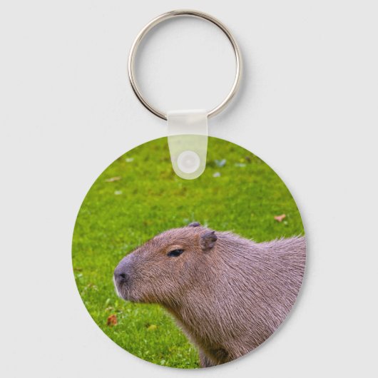 Amazing Animal Capybara キーホルダー (正面)