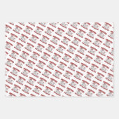 Amazing Big Sister - Kitty Cats赤いハート ラッピングペーパーシート (正面3)