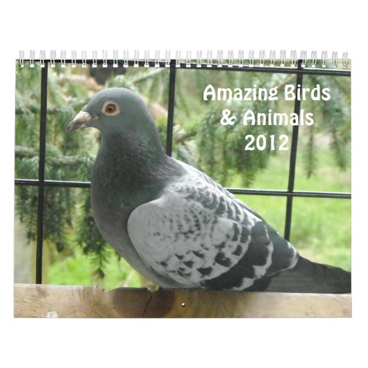 Amazing Birds and Animals 2012 カレンダー (カバー)