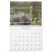 Amazing Birds and Animals 2012 カレンダー (1月 2027)