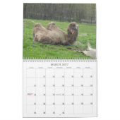 Amazing Birds and Animals 2012 カレンダー (3月 2027)