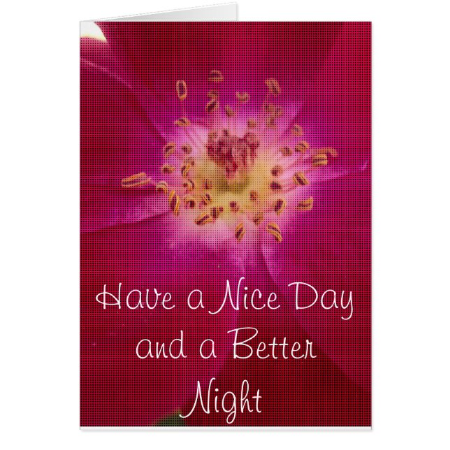 Amazing Checkedバラ.jpg (正面)