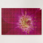 Amazing Checkedバラ.jpg ジグソーパズル (横)