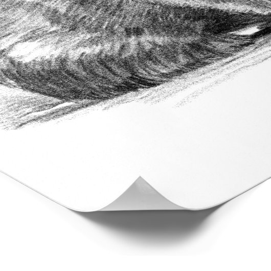 Amazing realistic wombat in pencil drawing style ポスター (角)