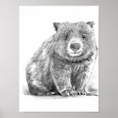 Amazing realistic wombat in pencil drawing style ポスター (正面)