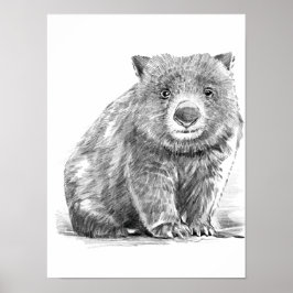Amazing realistic wombat in pencil drawing style ポスター