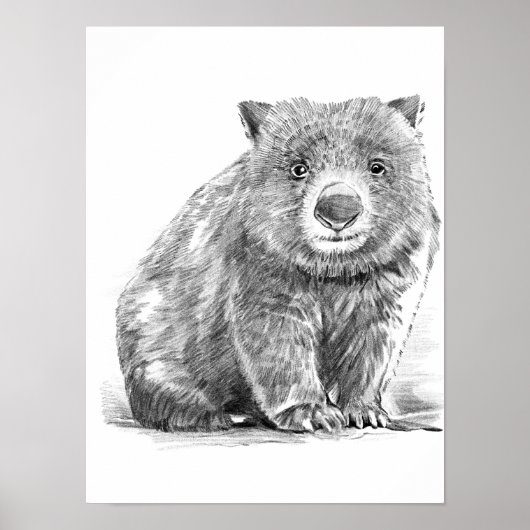 Amazing realistic wombat in pencil drawing style ポスター (正面)