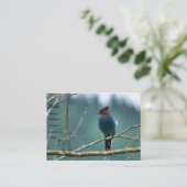 Amazing Stellar Jay Business Card 名刺 (スタンド正面)