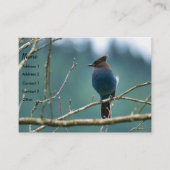 Amazing Stellar Jay Business Card 名刺 (正面)