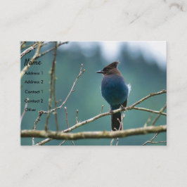 Amazing Stellar Jay Business Card 名刺