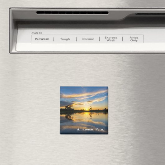 Amazonでの日没と反射 マグネット (インサイチュ (食洗機))