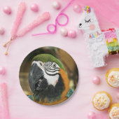 Amazonの青と黄色のマカオ ペーパープレート (パーティー)