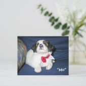 Amazon Hyromatic Societyはがき:ドッ大切グセリ ポストカード (スタンド正面)