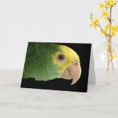 Amazon Note Card（Amazonノートカード） カード (黄色い花)