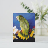 Amazon Parrotポストカード ポストカード (スタンド正面)
