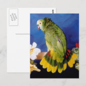 Amazon Parrotポストカード ポストカード (正面/裏面)