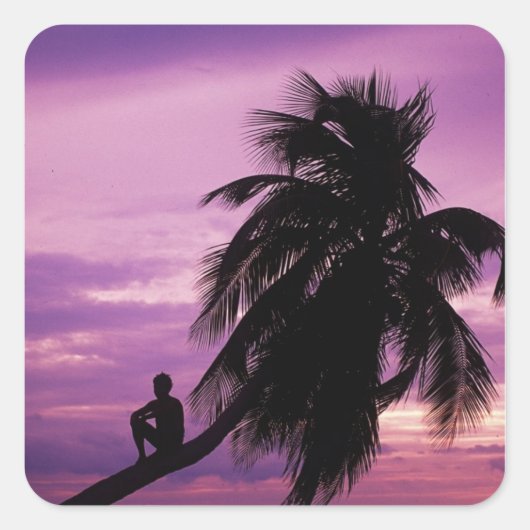 Ambergris Caye，ベリーズ，中央アメリカ。 スクエアシール (正面)