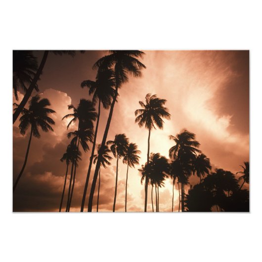 Ambergris Caye，ベリーズ，中央アメリカ。2 フォトプリント (正面)