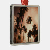 Ambergris Caye、ベリーズ、中米。2 メタルオーナメント (右)