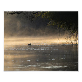 Ambiance lever du jour フォトプリント           