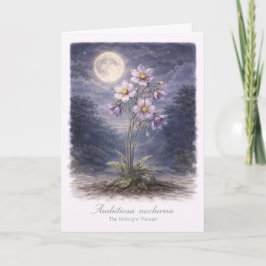 Ambitiosa Nocturna - The Midnight Planner カード