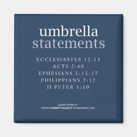 Ambrella Statementsマグネット マグネット (正面)