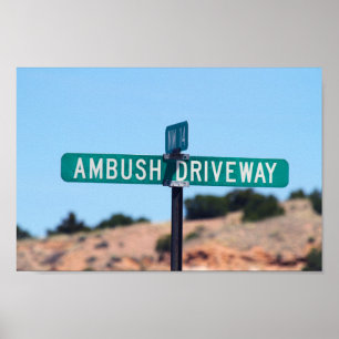 Ambush Driveway in New Mexico ポスター